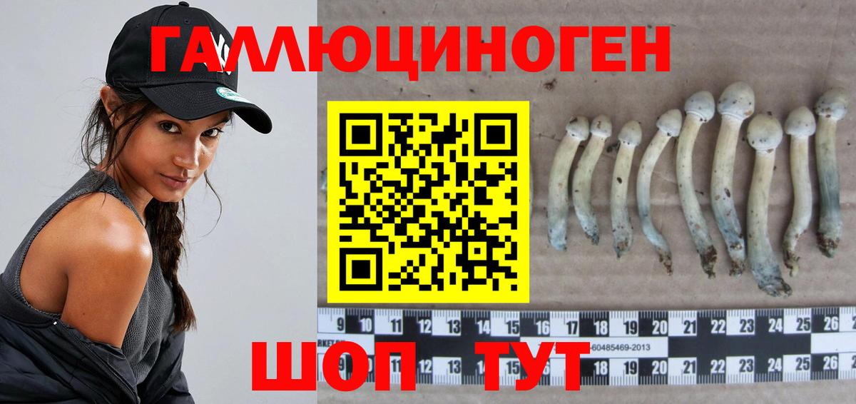 Псилоцибиновые грибы Cubensis Новочеркасск