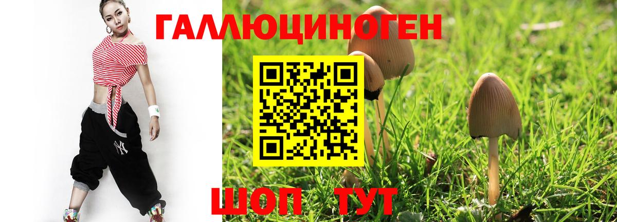 Псилоцибиновые грибы MAGIC MUSHROOMS  Вход с VPN  Новочеркасск 